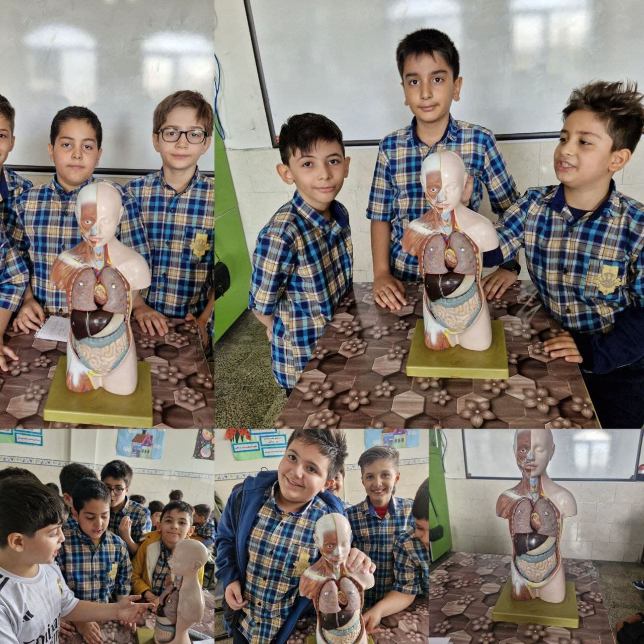 کاوشگری علوم مولاژ بدن ..جهت اطلاعات عمومی ..وظیفه هر یک از اعضای داخلی بدن