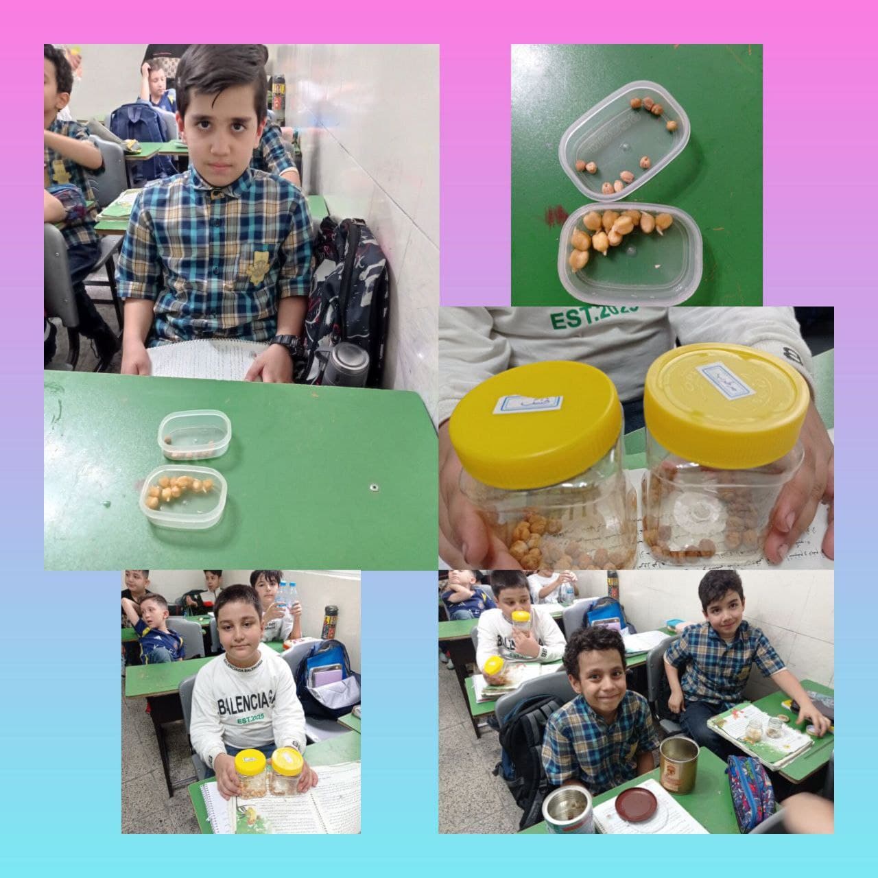 کاوشگری علوم ( آزمایش نگه داری مواد در محل مناسب )
