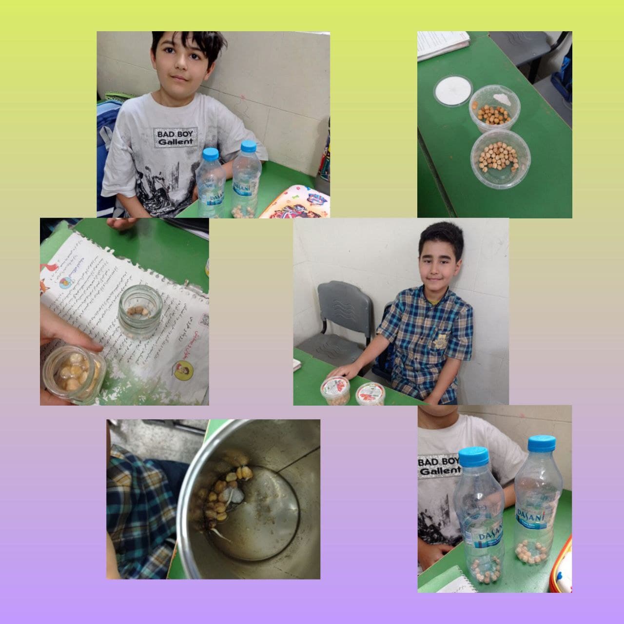 کاوشگری علوم ( آزمایش نگه داری مواد در محل مناسب )